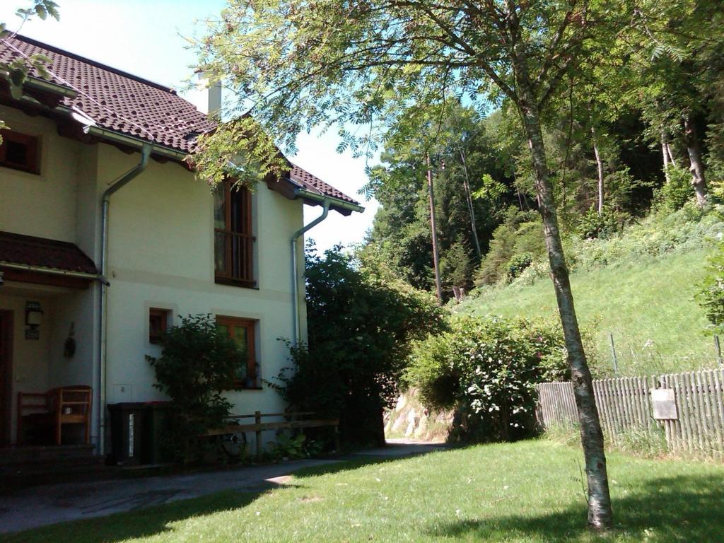 Ferienhaus Waldsicht Flachau Cameră foto